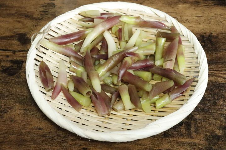 茹でたミョウガが盆ざるに盛り付けられている様子