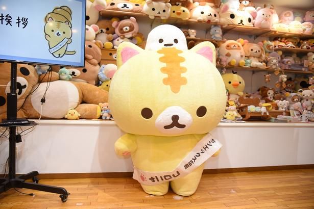 【写真】説明会にはサンエックスで広報として働く「コロニャ」も登場！ (C)2026 SAN-X CO., LTD. ALL RIGHTS RESERVED. 撮影：ソムタム田井