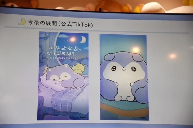 公式TikTokでは、動く「よなよなぽろぽ」が確認できる (C)2026 SAN-X CO., LTD. ALL RIGHTS RESERVED. 撮影：ソムタム田井