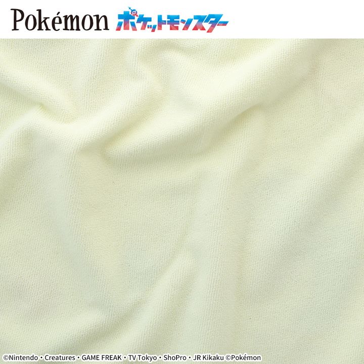ポケットモンスター プラチナムザッカサマーブランケット2