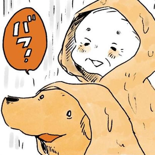 雨の日のおばあちゃんとレトリバー （C）佐倉イサミ／KADOKAWA