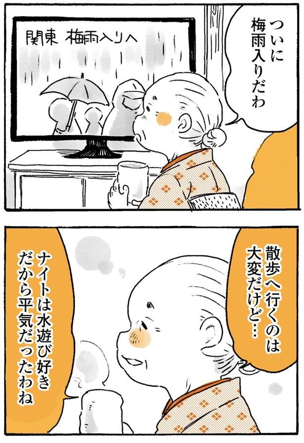 ついに梅雨入りだわ （C）佐倉イサミ／KADOKAWA