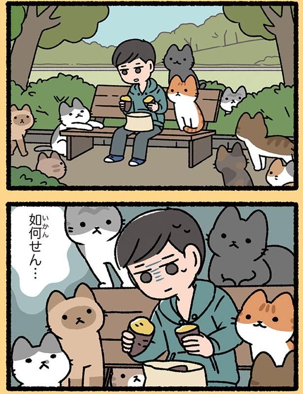 如何せん… （C）ぱんだにあ／KADOKAWA