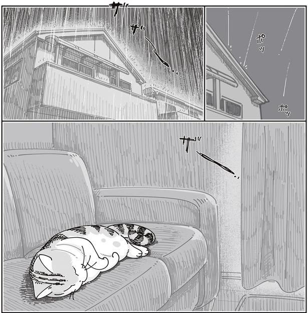 雨の日 （C）キュルZ／KADOKAWA