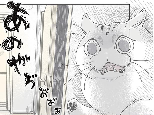 文句を言うネコ （C）キュルZ／KADOKAWA