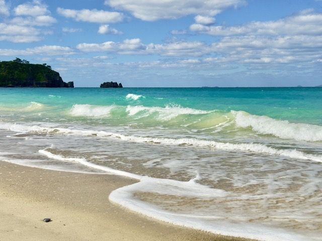 海