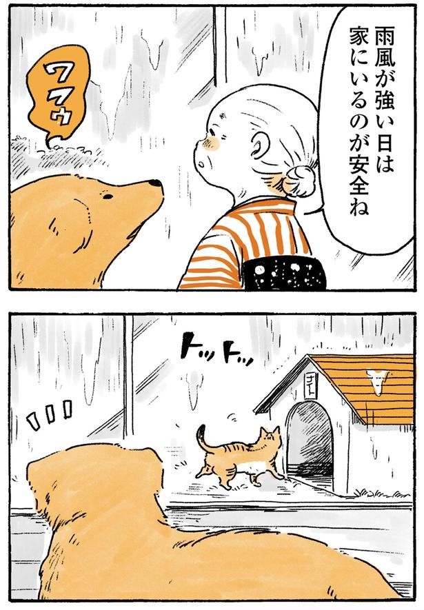 雨風が強い日は （C）佐倉イサミ／KADOKAWA