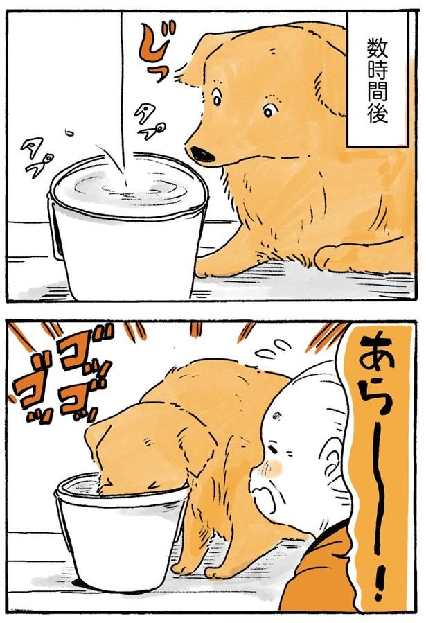 数時間後 （C）佐倉イサミ／KADOKAWA