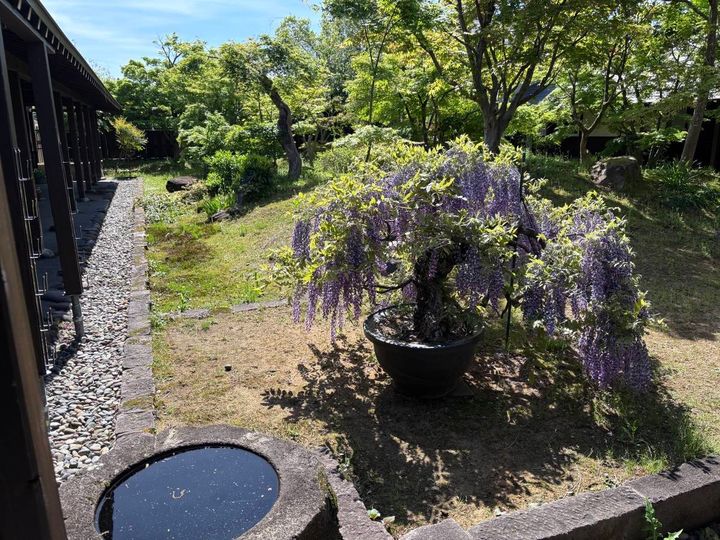 江口だんご本店 庭