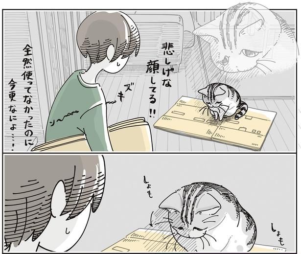 悲しげな顔してる!! （C）キュルZ／KADOKAWA