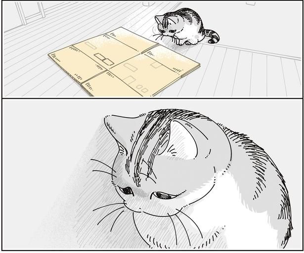 崩すと… （C）キュルZ／KADOKAWA