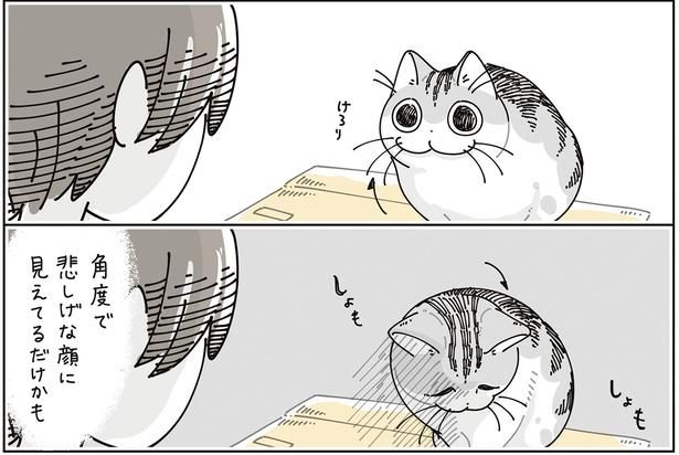しょもしょも… （C）キュルZ／KADOKAWA