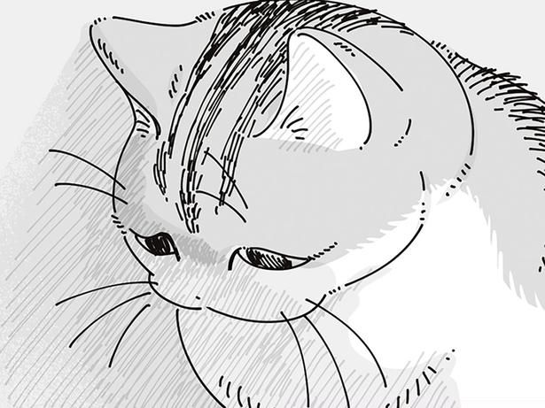 悲しげな顔 （C）キュルZ／KADOKAWA