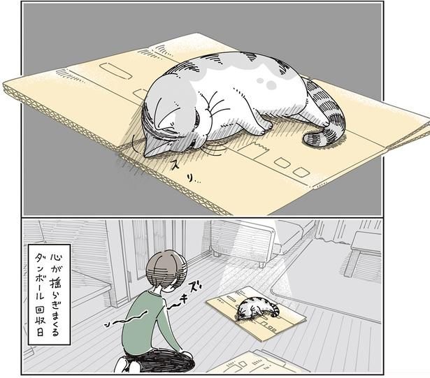スリ… （C）キュルZ／KADOKAWA