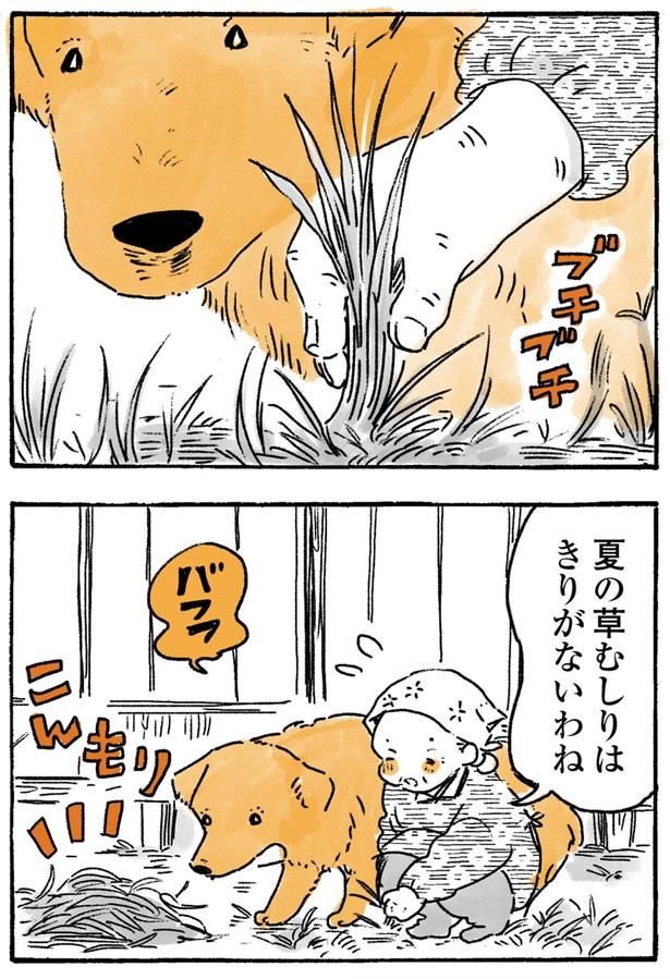 夏の草むしり （C）佐倉イサミ／KADOKAWA