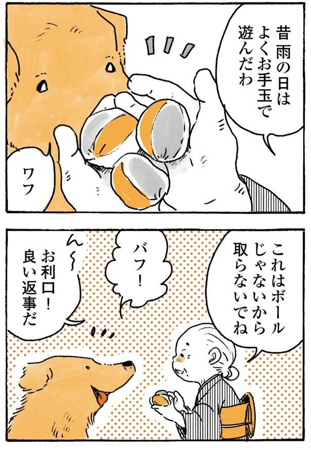 お利口！ （C）佐倉イサミ／KADOKAWA