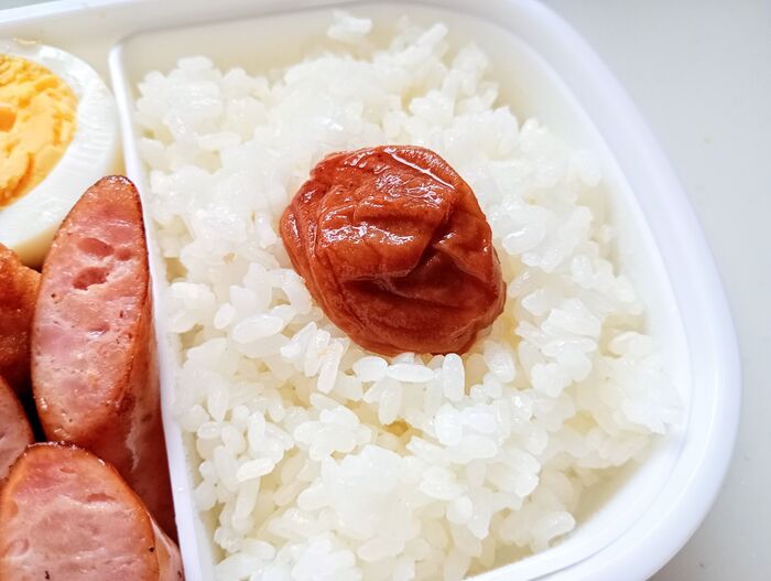 「梅干し入れておけばOK」は危険かも！？夏のお弁当でやりがちな落とし穴
