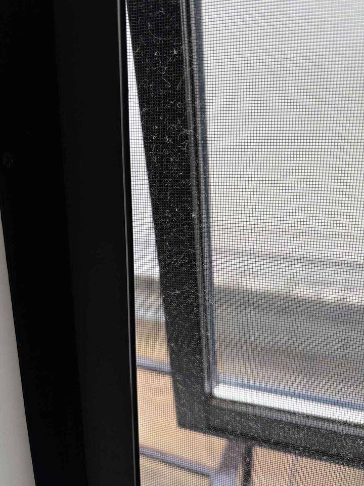 画像1: 水だけで網戸掃除に挑戦