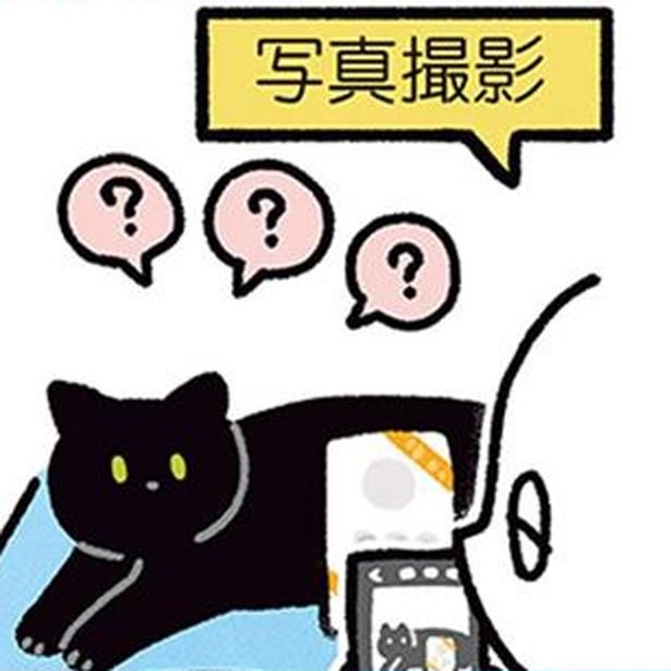 ねこと写真撮影 （C）AKR／KADOKAWA