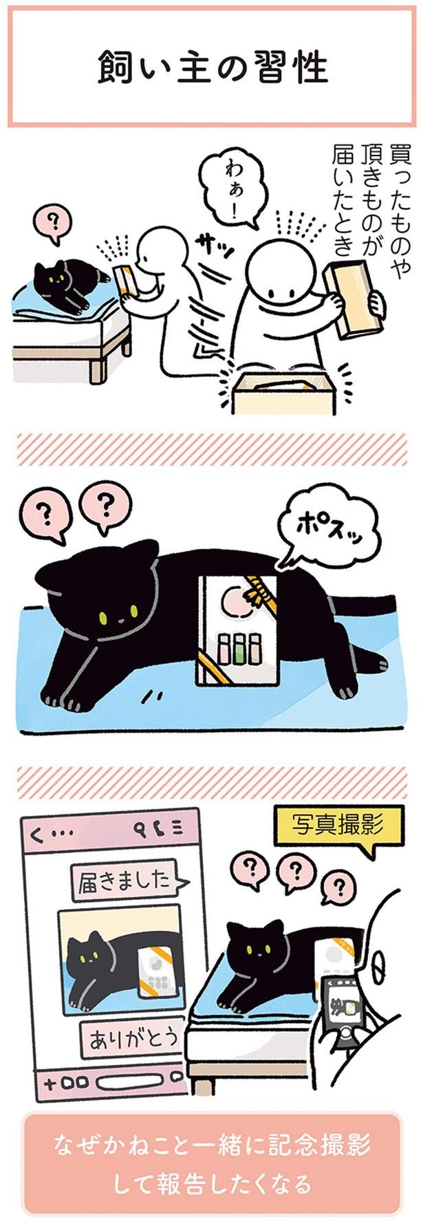 写真撮影 （C）AKR／KADOKAWA