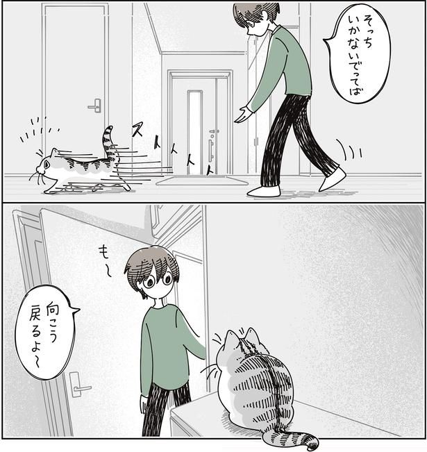 戻るよ～ （C）キュルZ／KADOKAWA