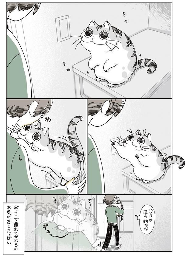 そわそわ （C）キュルZ／KADOKAWA