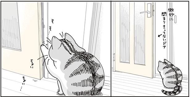 微妙に閉まりきってないドア （C）キュルZ／KADOKAWA