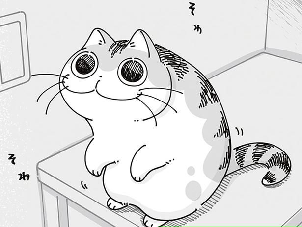 抱っこしようとすると… （C）キュルZ／KADOKAWA