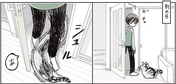 別の日 （C）キュルZ／KADOKAWA