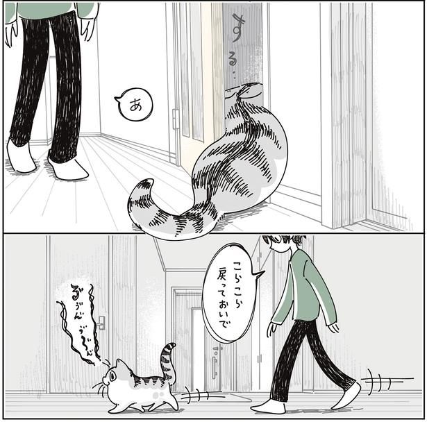 戻っておいで （C）キュルZ／KADOKAWA