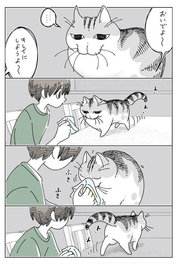 02 画像提供：キュルZ@kyuryuZ