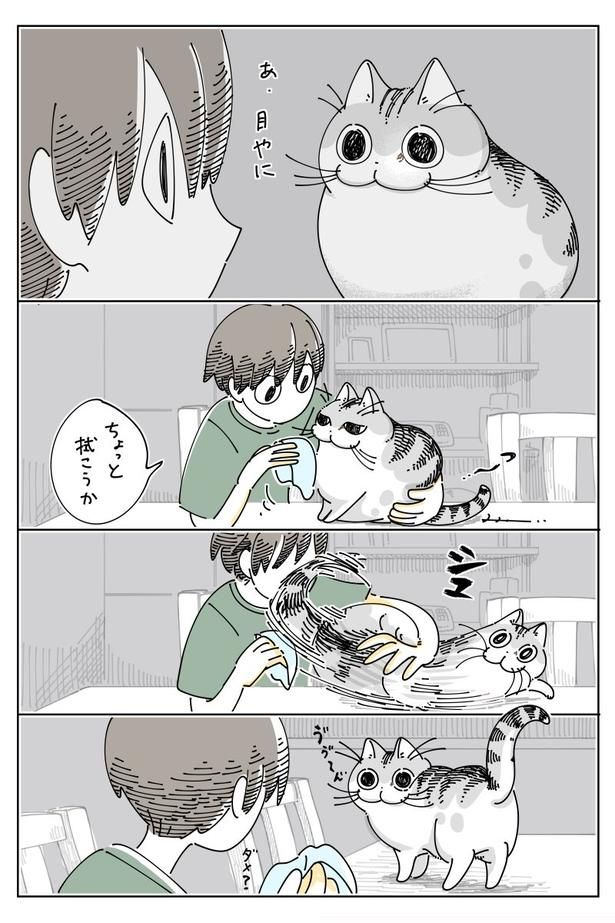 『お願い』01 画像提供：キュルZ@kyuryuZ