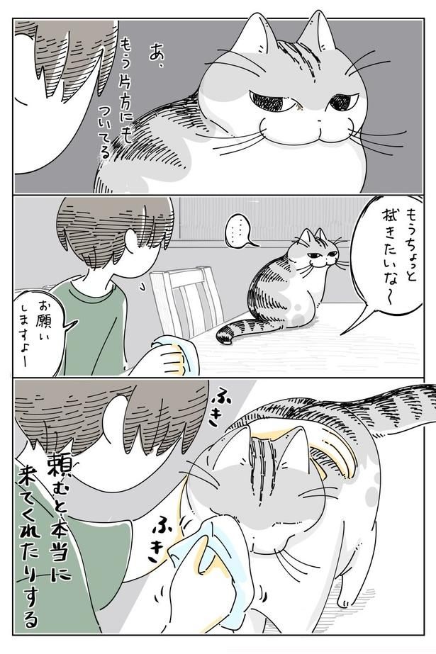 03 画像提供：キュルZ@kyuryuZ