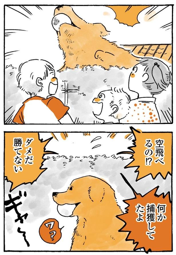 空飛べるの！？ （C）佐倉イサミ／KADOKAWA