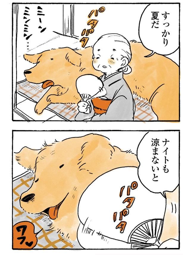 ナイトも涼まないと （C）佐倉イサミ／KADOKAWA