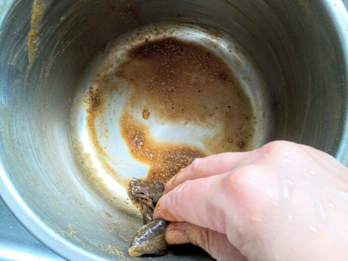 もうスポンジは汚しません！ギトギトのカレー鍋をつるんとキレイに洗う裏ワザ【試してみた】