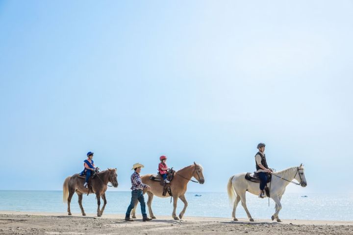 黒松林の間や海辺を歩く乗馬のアクティビティも