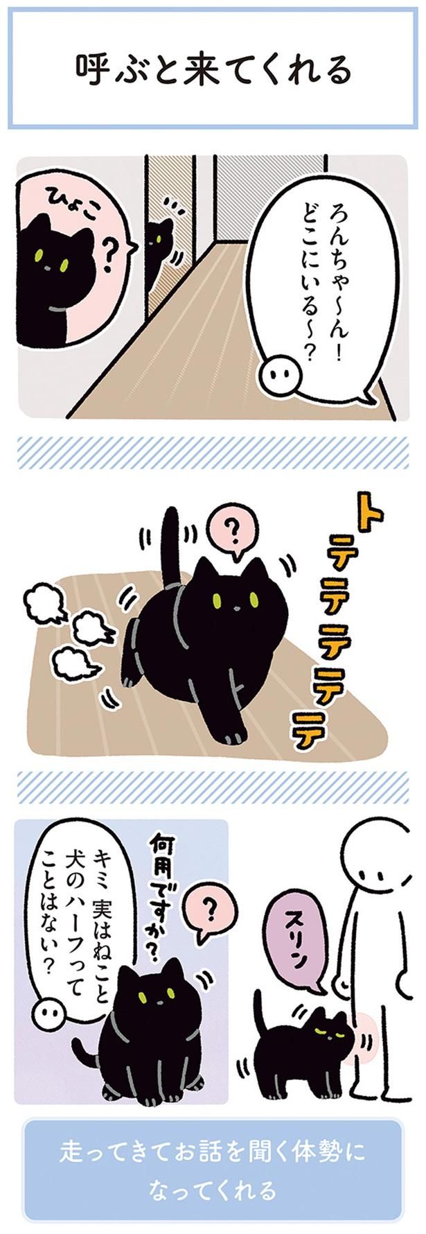どこにいる～？ （C）AKR／KADOKAWA