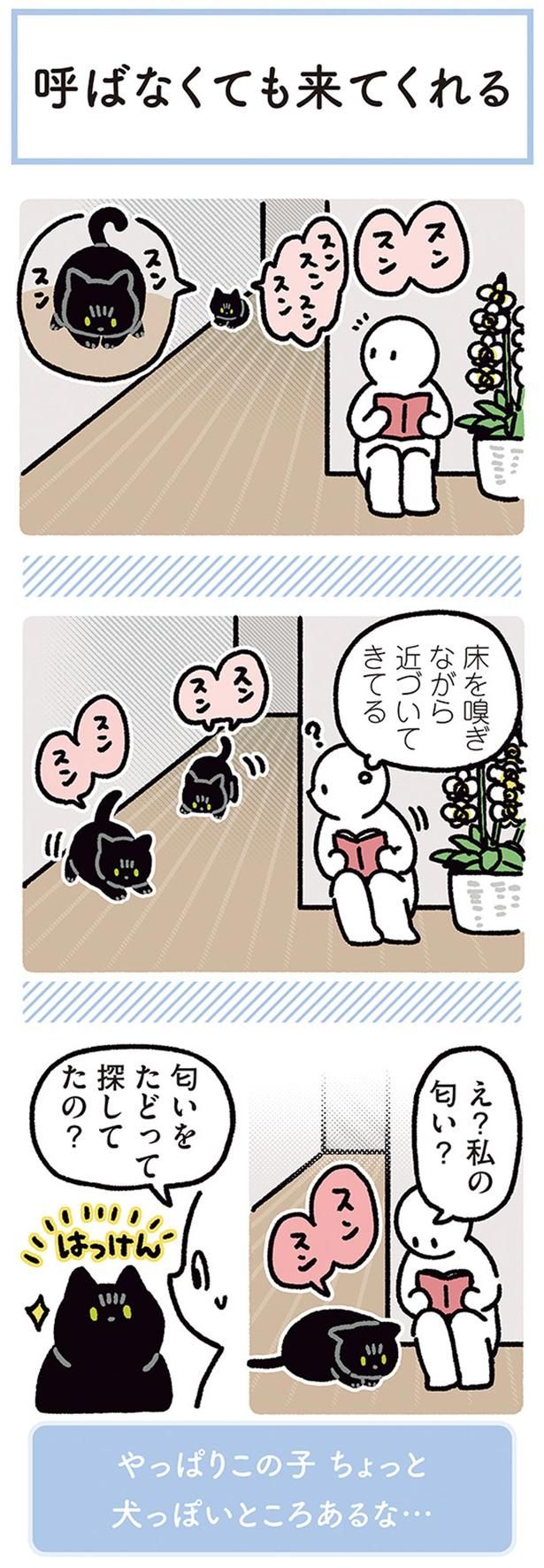 匂いをたどって探してたの？ （C）AKR／KADOKAWA