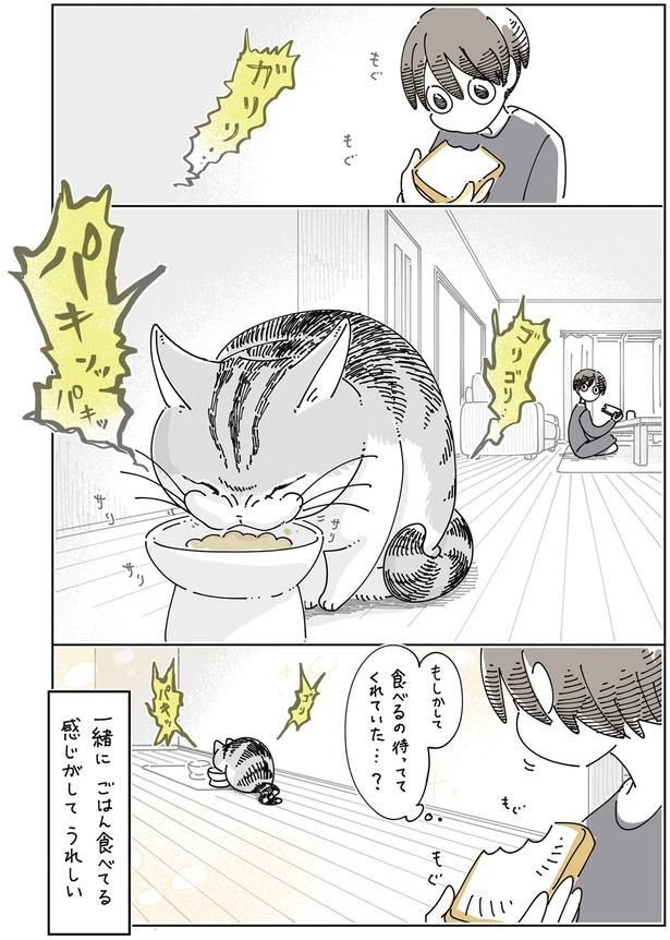 もしかして （C）キュルZ／KADOKAWA