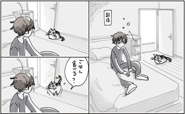 起床 （C）キュルZ／KADOKAWA
