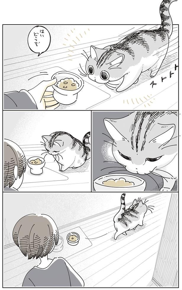 どうぞ （C）キュルZ／KADOKAWA