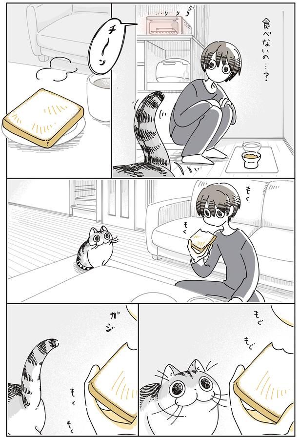 食べないの…？ （C）キュルZ／KADOKAWA