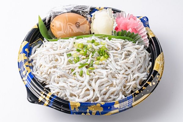 【神奈川県藤沢市】はとバスが「海の環境問題」をテーマにした江ノ島海岸サステナブルツアーを運行！