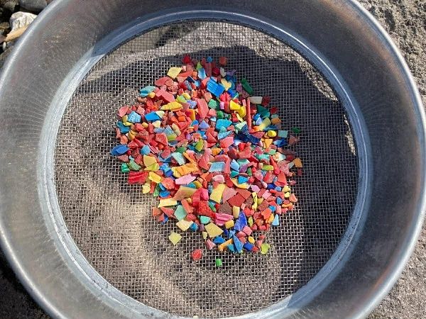 【神奈川県藤沢市】はとバスが「海の環境問題」をテーマにした江ノ島海岸サステナブルツアーを運行！