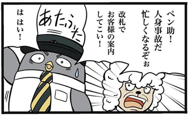 01 画像提供：ザバックさん