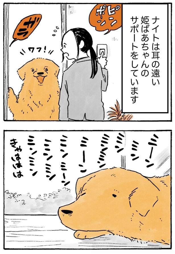 姫ばあちゃんのサポートをしています （C）佐倉イサミ／KADOKAWA
