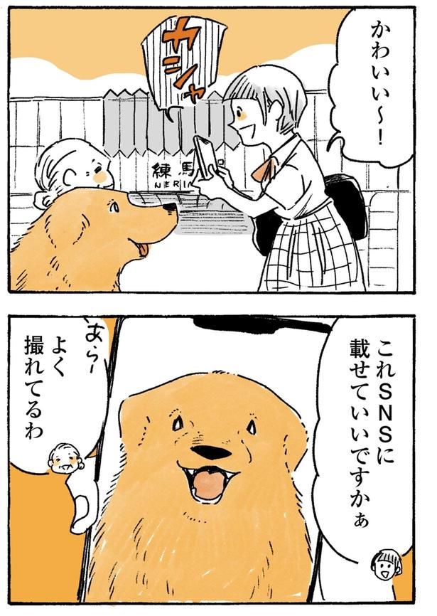 よく撮れてるわ （C）佐倉イサミ／KADOKAWA