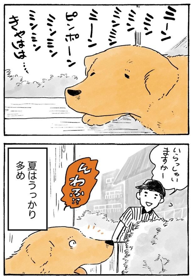 夏はうっかり多め （C）佐倉イサミ／KADOKAWA