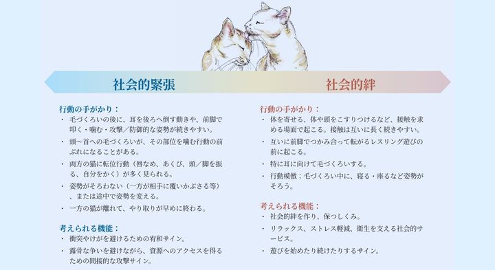 猫の毛づくろいは相手への「圧」にもなる